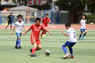 甘肃中药材,出口遍及,国地区,开云体育,开云体育官网,开云体育app,开云体育平台,KAIYUN,SPORTS,kaiyun登录入口