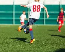 狗狗币,社交传播下,的忠实虚拟,开云体育,开云体育官网,开云体育app,开云体育平台,KAIYUN,SPORTS,kaiyun登录入口