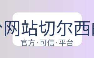 开云平台网站切尔西的赞助商 配图