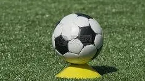 开云平台网站切尔西的赞助商 产品 104528 5jn