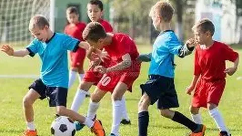 开云平台网站切尔西的赞助商 资讯 124555 wo4