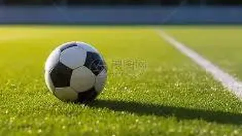 开云平台网站切尔西的赞助商 产品 124017 z48