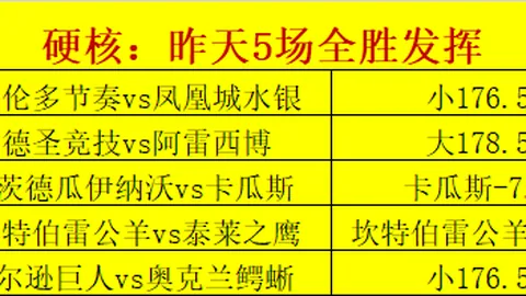 开云平台网站切尔西的赞助商 124817 281